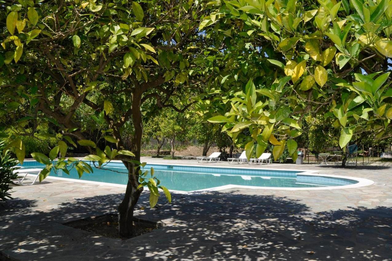 Orange Grove Suites Benitses  Exterior photo